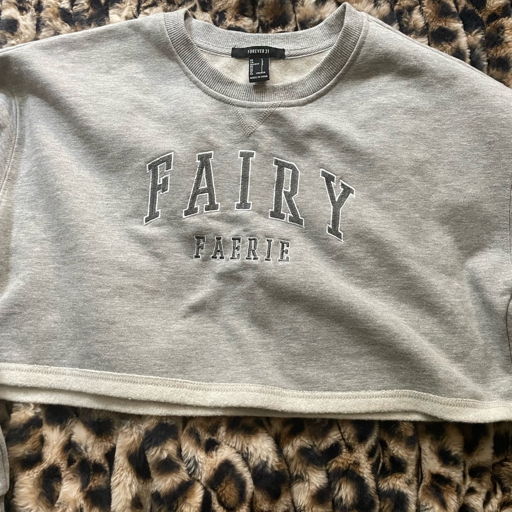 H&M Gray Fairy Graphic Cropped Sweatshirt